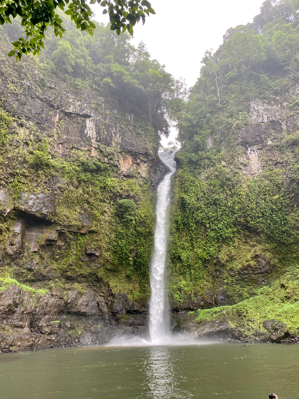 Nandroya Falls
